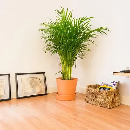 Apartamento Plaza Montaño Málaga